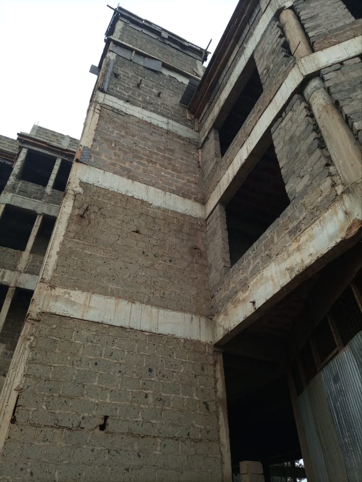 Construction of the Mega Church Story